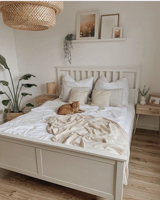 Phòng ngủ gỗ trắng hài hòa 